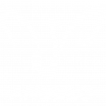 ANGELO BAND