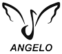 ANGELO BAND